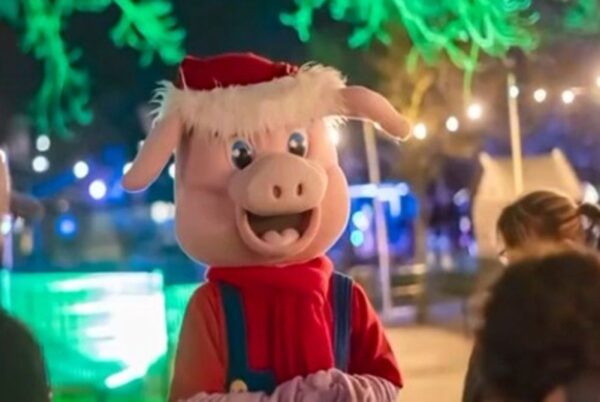 Binky's lichtjesfeest