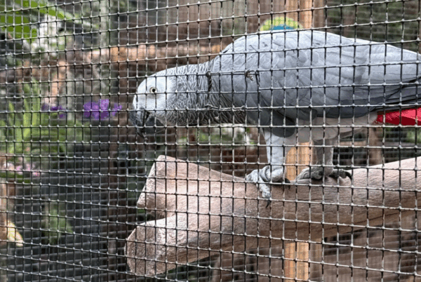 kidsproof-almere-jungle