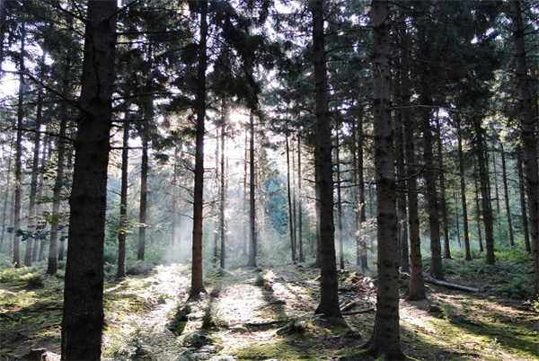 het-flevolandschap_natuurpark-flevolandschap-lelystad_9-1