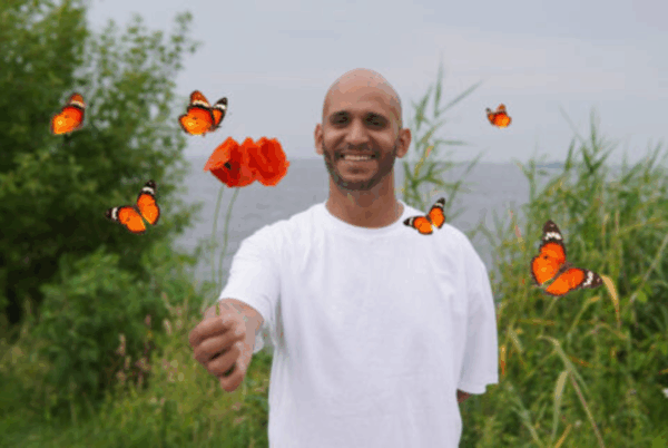 Wonder 2turvenhoog festival