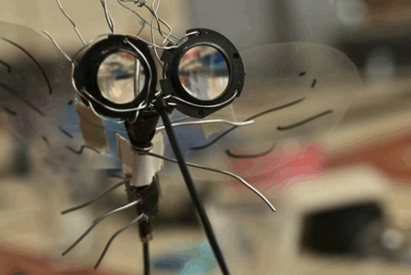 ZOOI 2turvenhoog festival