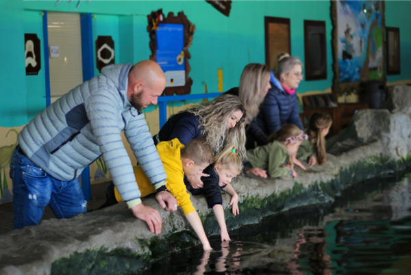 dolfinarium-harderwijk-met-kids-eropuit-samen