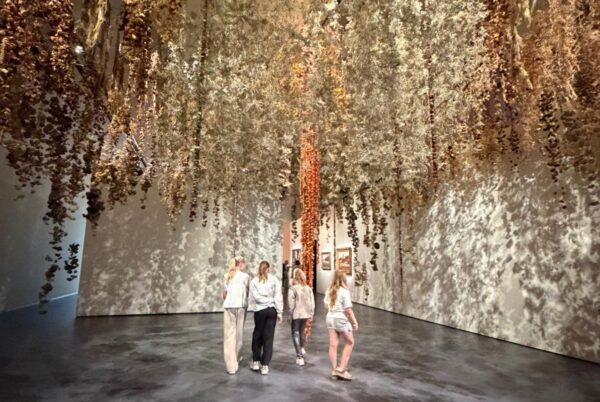 Kinderen lopen onder 100.000 droogbloemen door in Flowers Forever