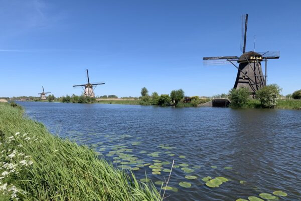 Kinderdijk molens op een rij