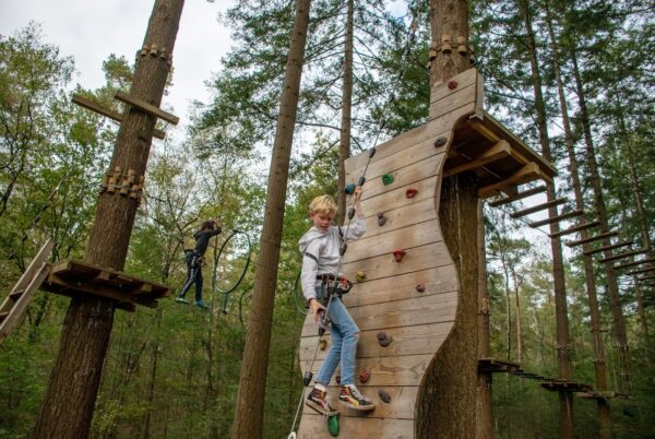 Klimmen in de natuur van de Biedbosch bij Klimbos Dordrecht