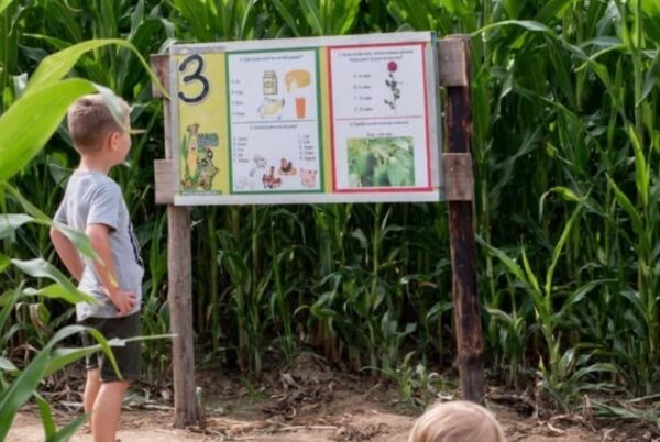 Jongen bij de ingang van het maisdoolhof in Malden